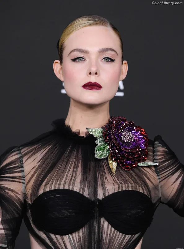 Elle Fanning photo 16 of 4114