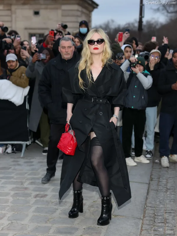 Elle Fanning photo 11 of 4114