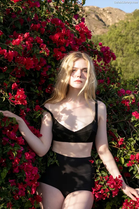 Elle Fanning photo 6 of 4114