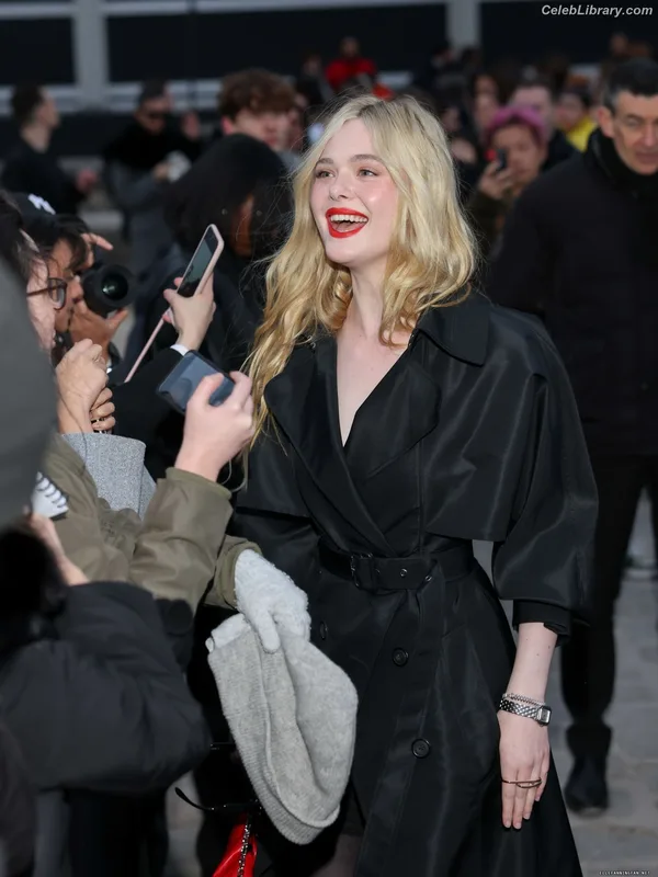 Elle Fanning photo 13 of 4114