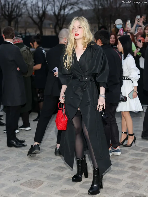 Elle Fanning photo 7 of 4114