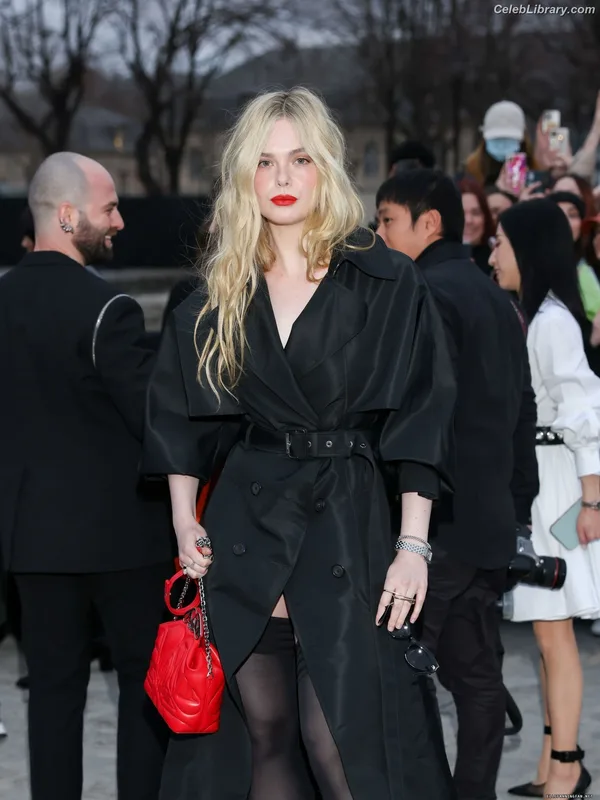 Elle Fanning photo 16 of 4114