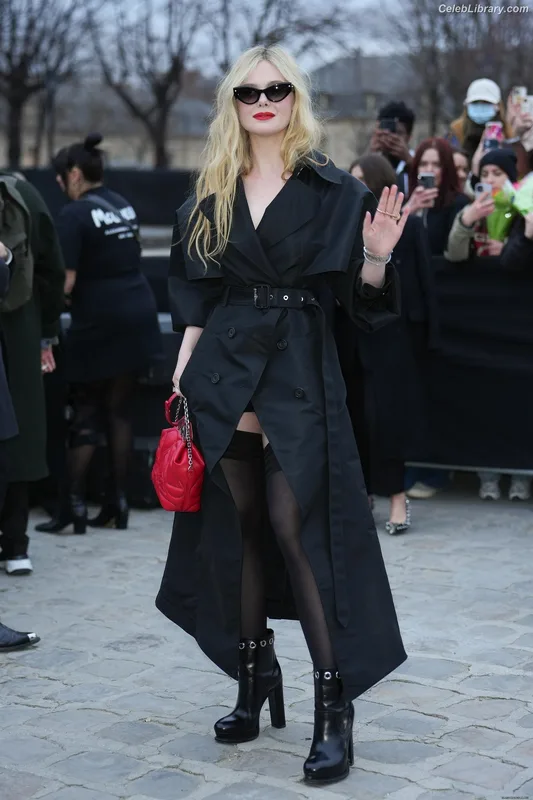Elle Fanning photo 11 of 4114