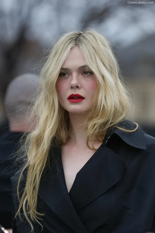 Elle Fanning photo 4 of 4114