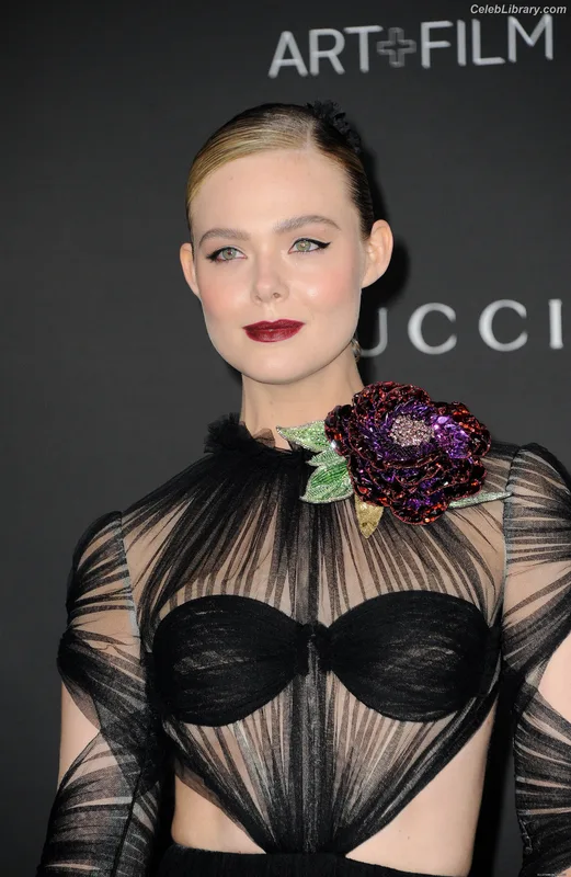 Elle Fanning photo 20 of 4114