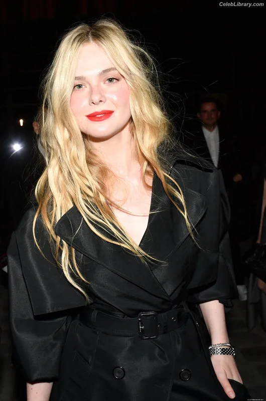 Elle Fanning photo 4 of 4114