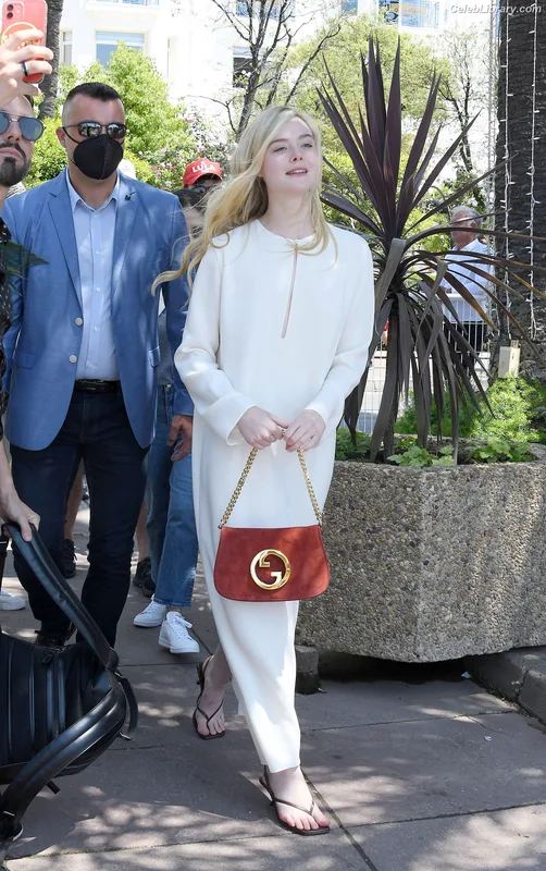 Elle Fanning photo 3 of 4114