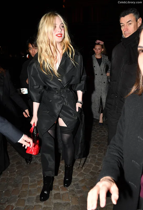Elle Fanning photo 11 of 4114