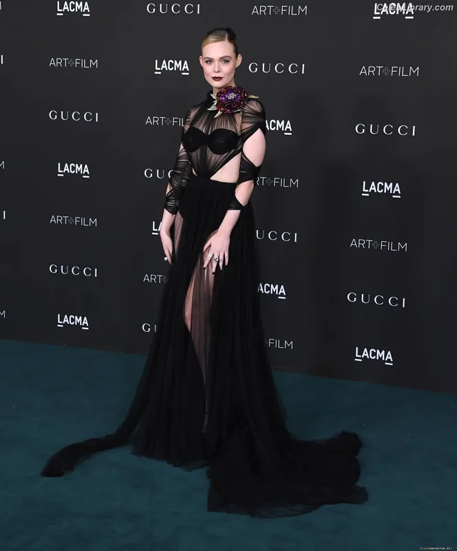 Elle Fanning photo 12 of 4114
