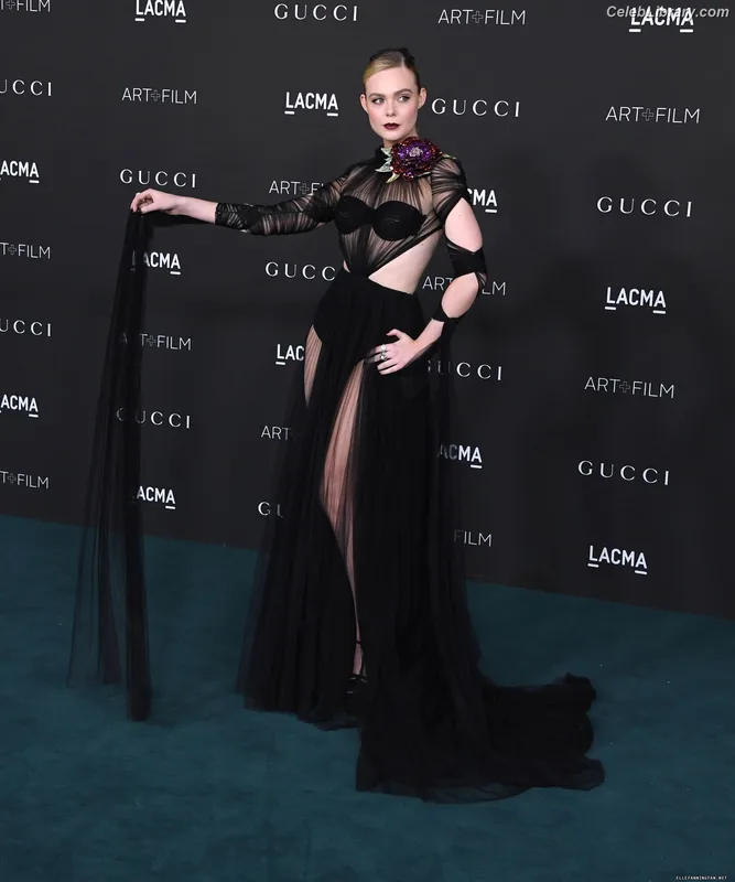 Elle Fanning photo 16 of 4114