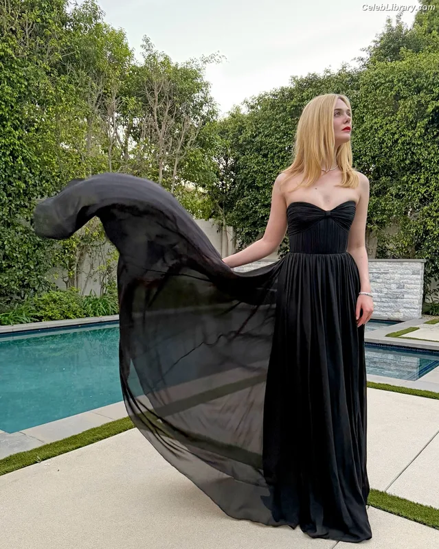 Elle Fanning photo 4 of 4114