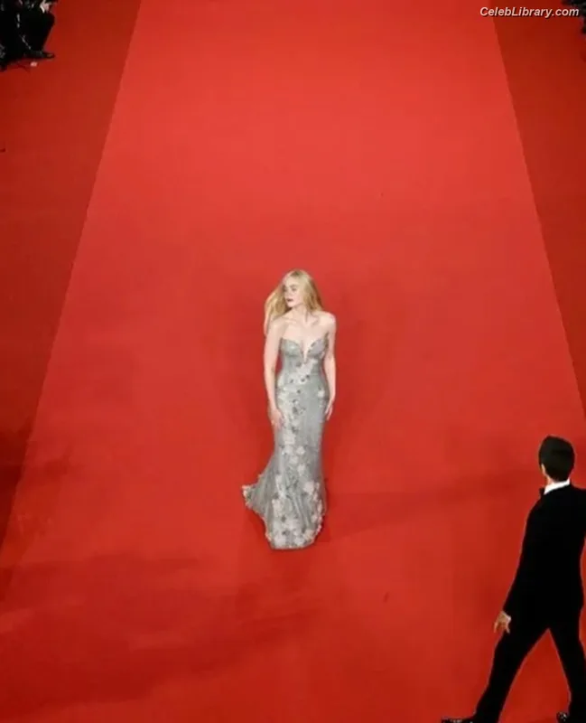 Elle Fanning photo 16 of 4114