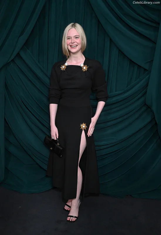 Elle Fanning photo 3 of 4114
