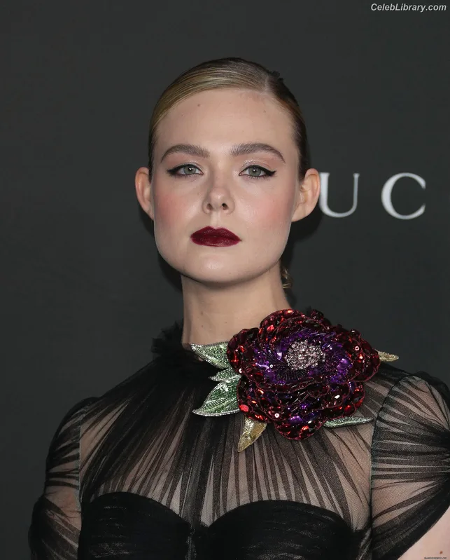 Elle Fanning photo 2 of 4114