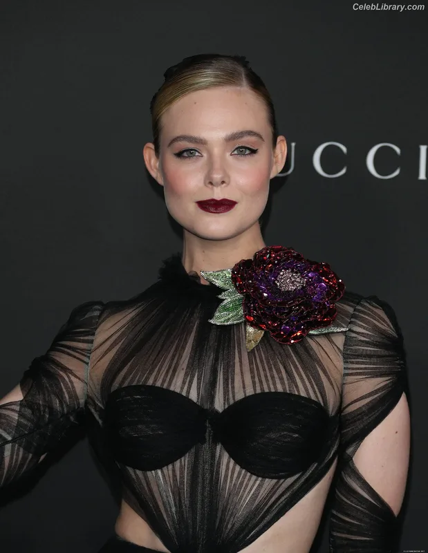 Elle Fanning photo 3 of 4114