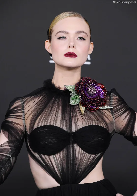 Elle Fanning photo 4 of 4114