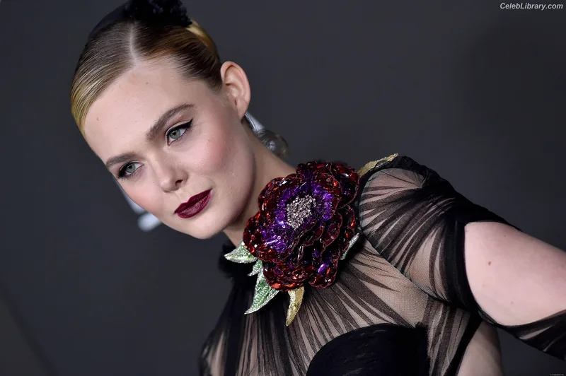 Elle Fanning photo 21 of 4114