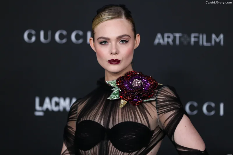 Elle Fanning photo 4 of 4114