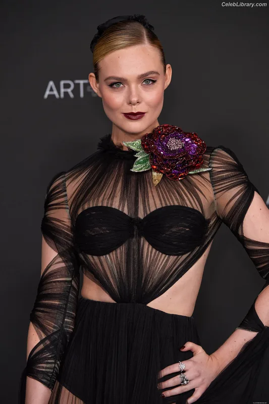 Elle Fanning photo 22 of 4114
