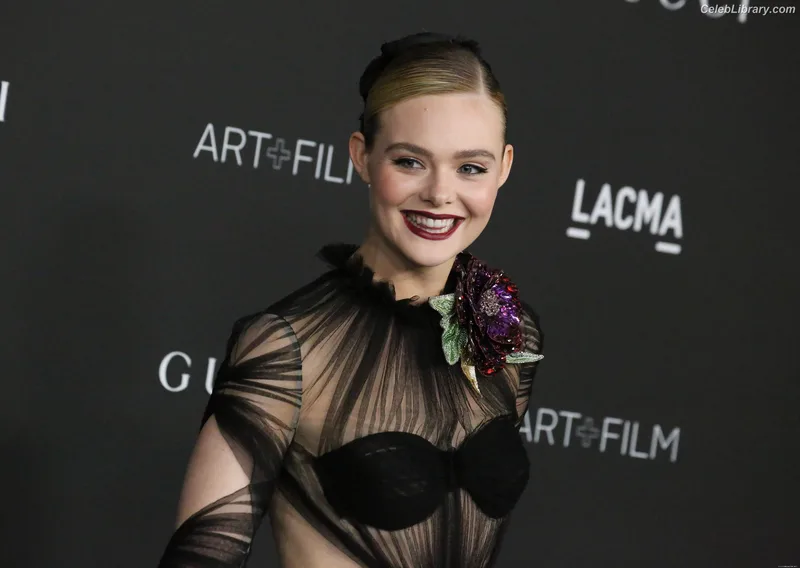 Elle Fanning photo 4 of 4114