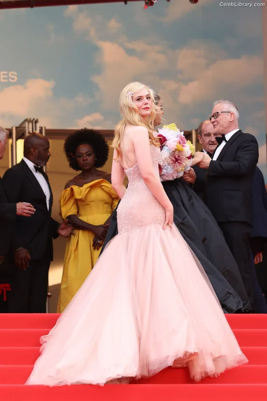 Elle Fanning photo 24 of 4114