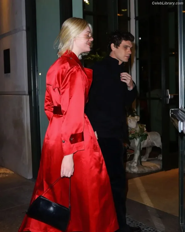 Elle Fanning photo 2 of 4114