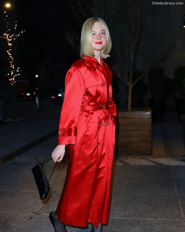 Elle Fanning photo 3 of 4114