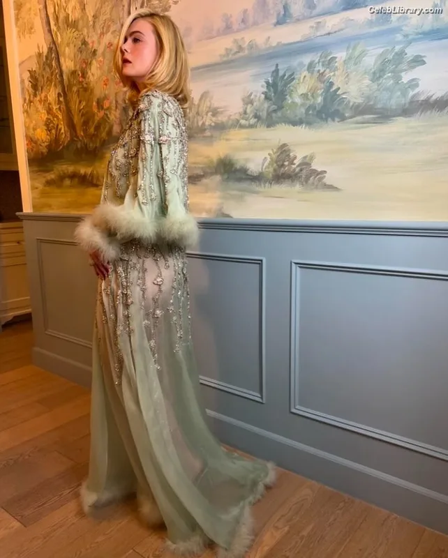 Elle Fanning photo 21 of 4114