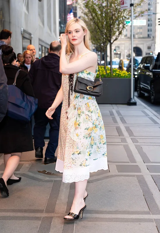Elle Fanning photo 13 of 4114