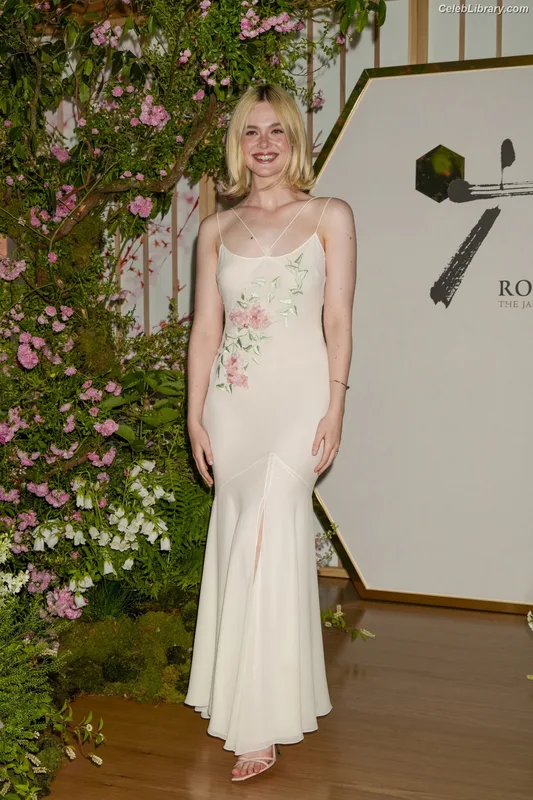 Elle Fanning photo 24 of 4114