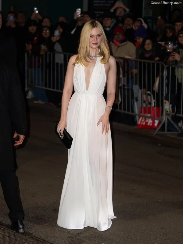 Elle Fanning photo 21 of 4114