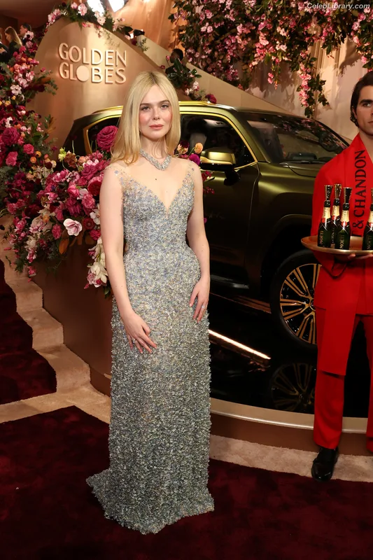 Elle Fanning photo 16 of 4114