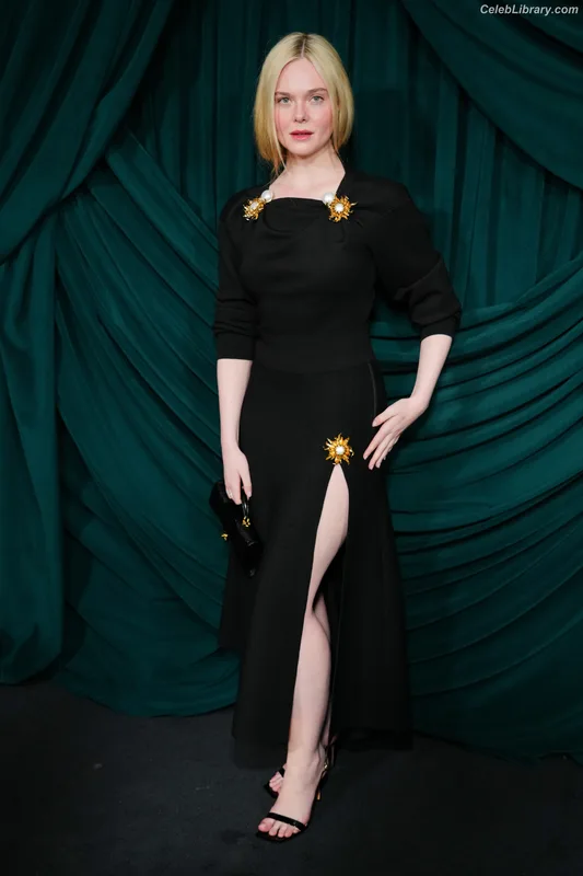 Elle Fanning photo 6 of 4114