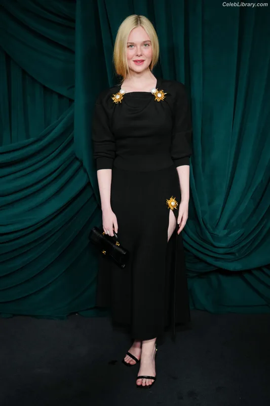 Elle Fanning photo 7 of 4114