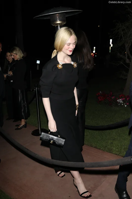 Elle Fanning photo 8 of 4114