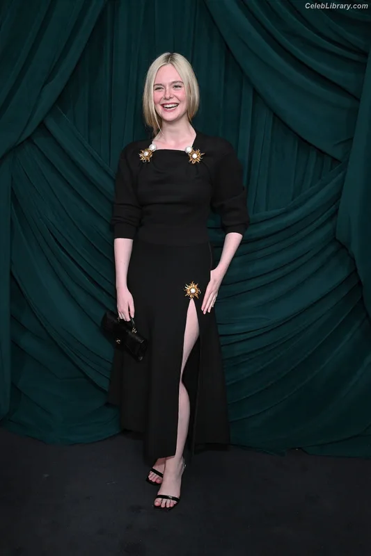 Elle Fanning photo 9 of 4114