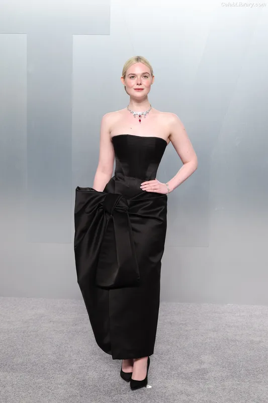 Elle Fanning photo 12 of 4114