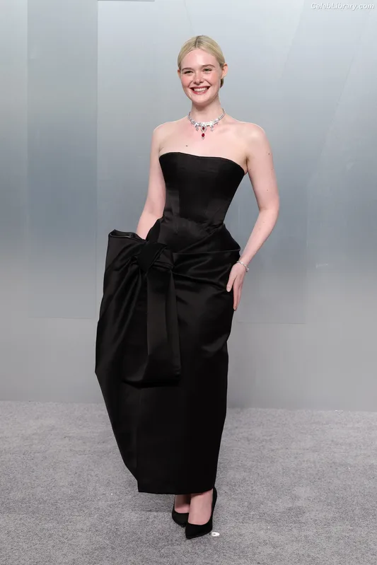 Elle Fanning photo 15 of 4114