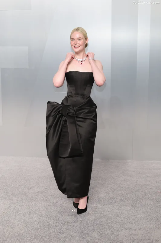 Elle Fanning photo 16 of 4114