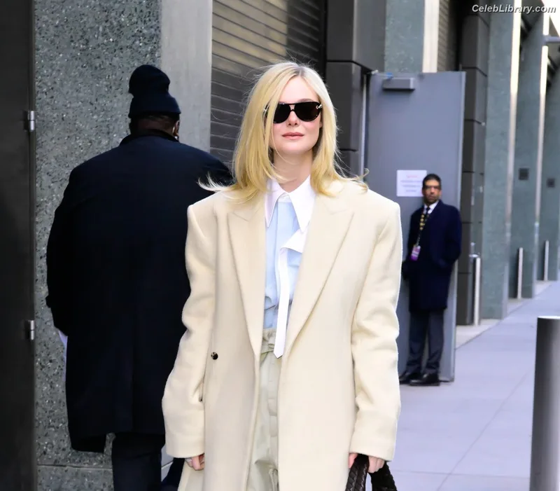 Elle Fanning photo 12 of 4114