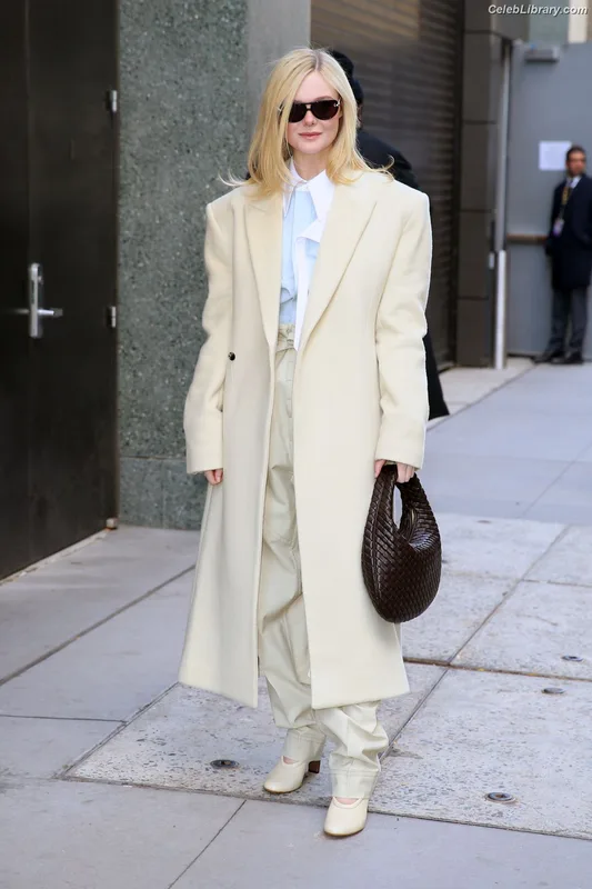 Elle Fanning photo 13 of 4114