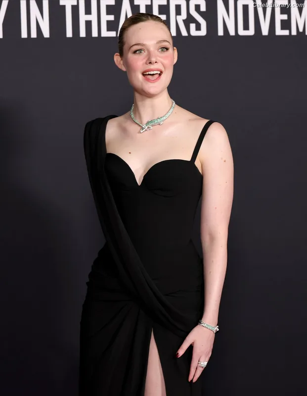 Elle Fanning photo 4 of 4114