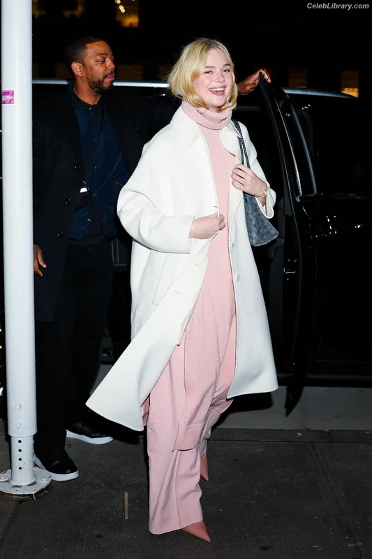 Elle Fanning photo 20 of 4114