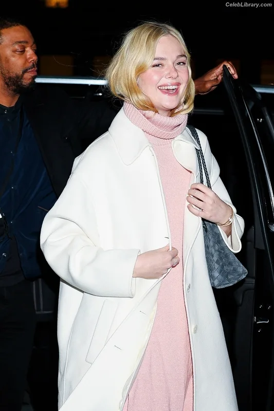 Elle Fanning photo 3 of 4114