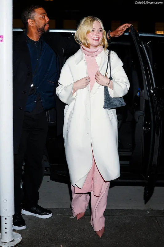 Elle Fanning photo 13 of 4114