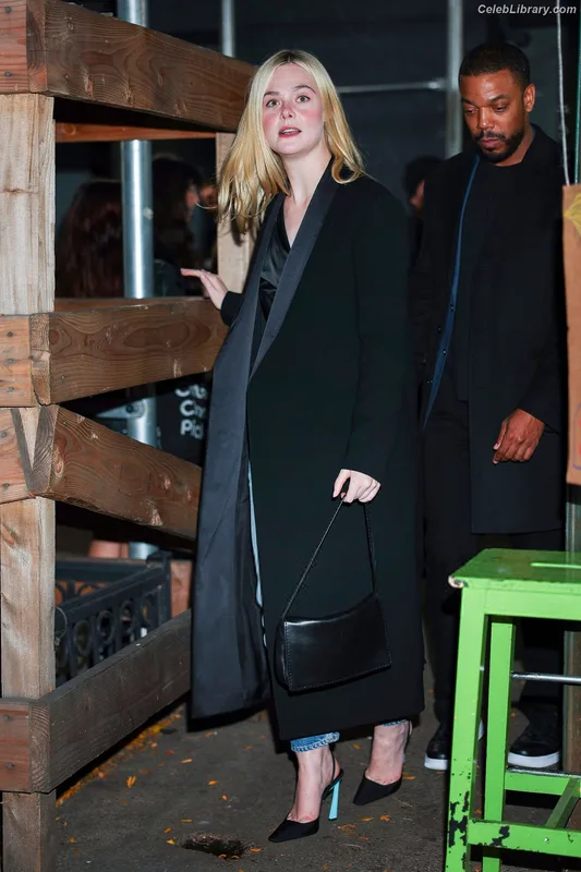 Elle Fanning photo 2 of 4114