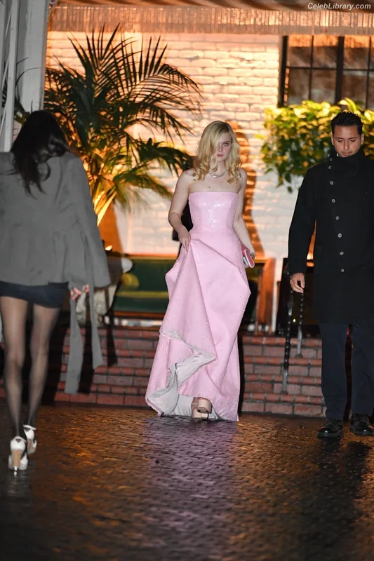 Elle Fanning photo 3 of 4114
