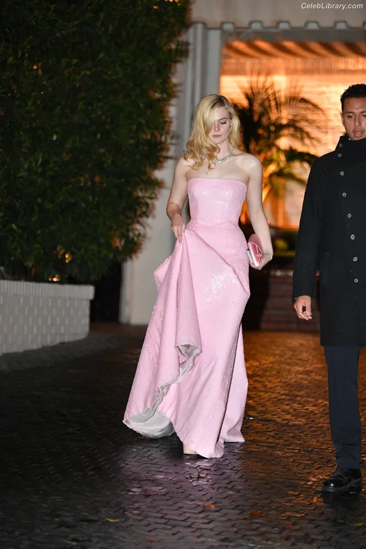 Elle Fanning photo 7 of 4114