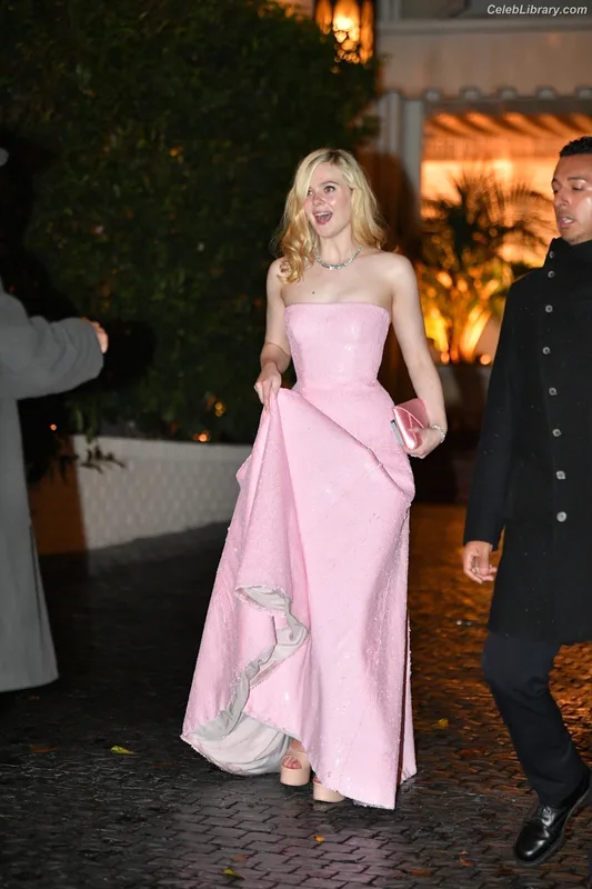 Elle Fanning photo 3 of 4114