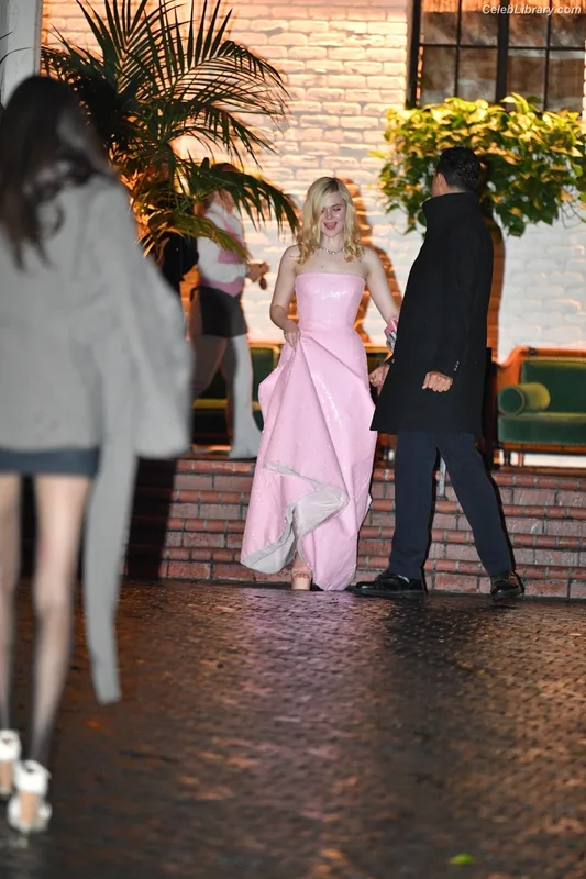 Elle Fanning photo 4 of 4114